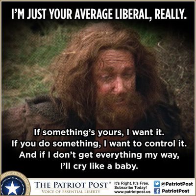 average liberal.jpg