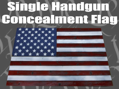100_6225-single-handgun-flag-lg1.jpg