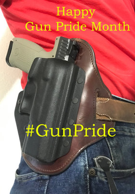 gun_pride_czp10c.jpg