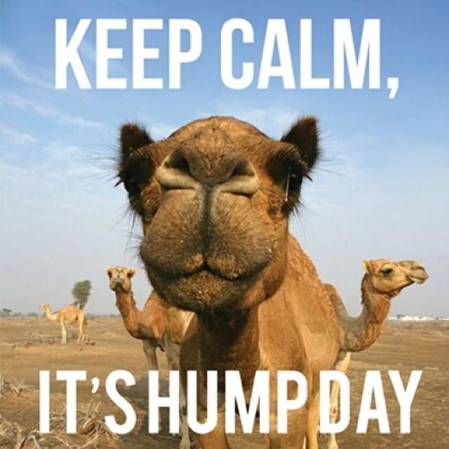 289068-Keep-Calm-It-s-Hump-Day-2557492664.jpg