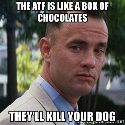 ATF kills doggo.jpg