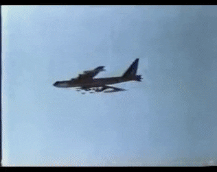 b52 carpet.gif