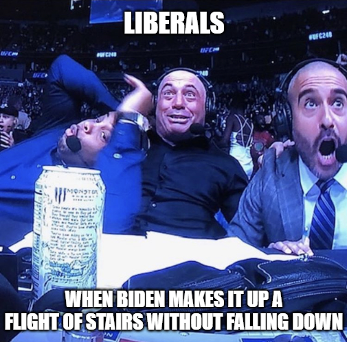 Biden - flight of stairs.png