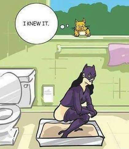 cat woman.jpg