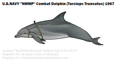 combat dolphin 1967.png