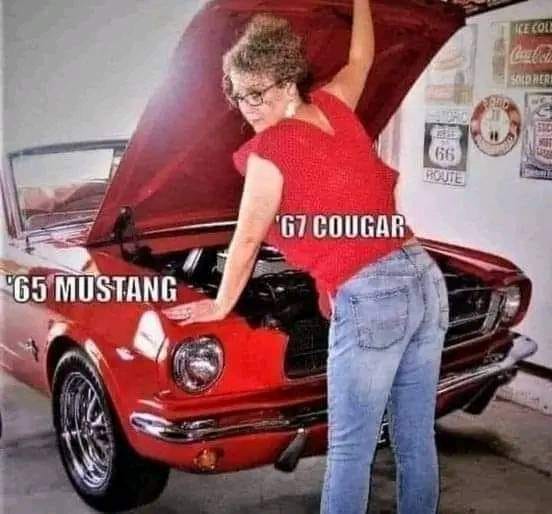 Cougar.jpg