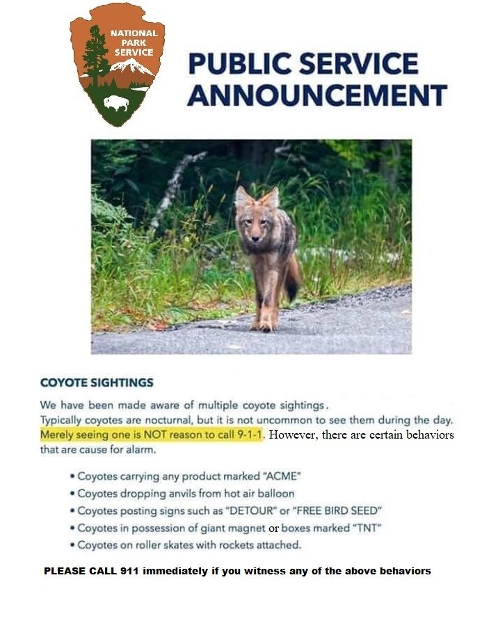 coyote warning.jpg