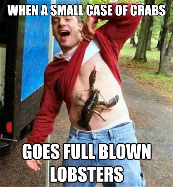 crabs.jpg