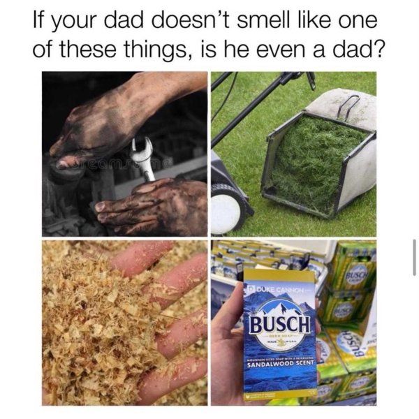 dad-father-memes12.jpg