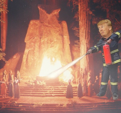 DJT - Bohemiam Grove Firefighter.jpeg