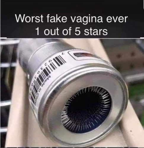 Fake_Vagina_jpg-3271836.jpeg