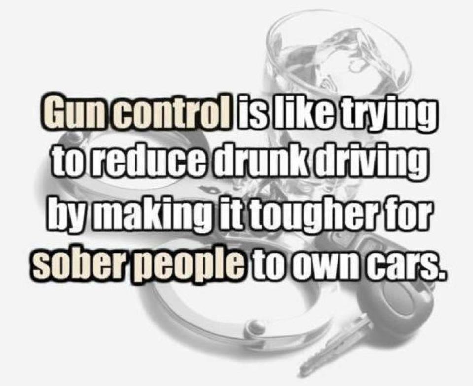 gun control.jpg