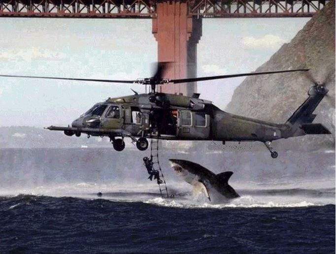 Helicopter Shark Hoax 2001.JPG