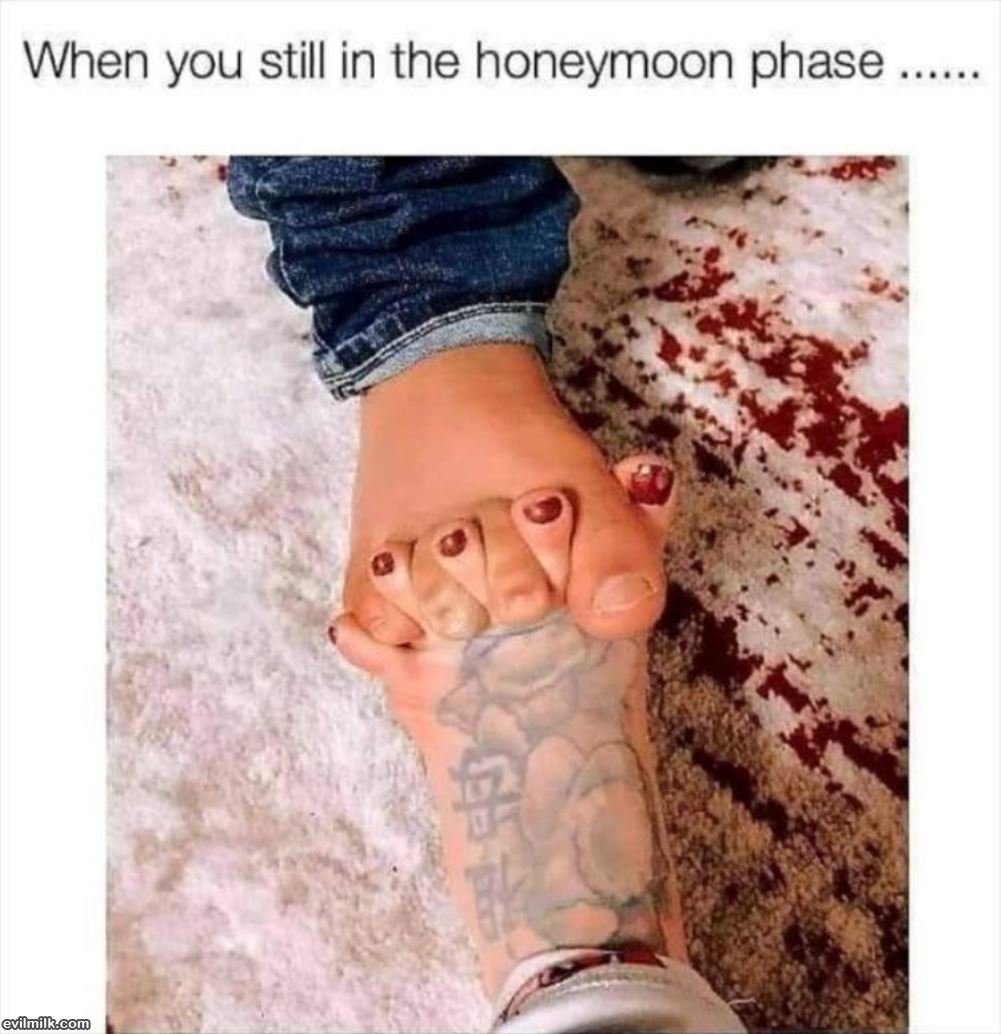 Honeymoon_Phase.jpg