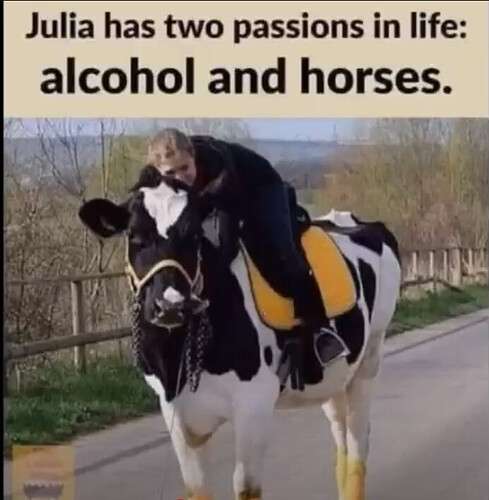 horses n booze.jpg