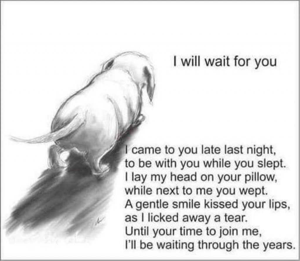 I Will Wait For You.jpeg