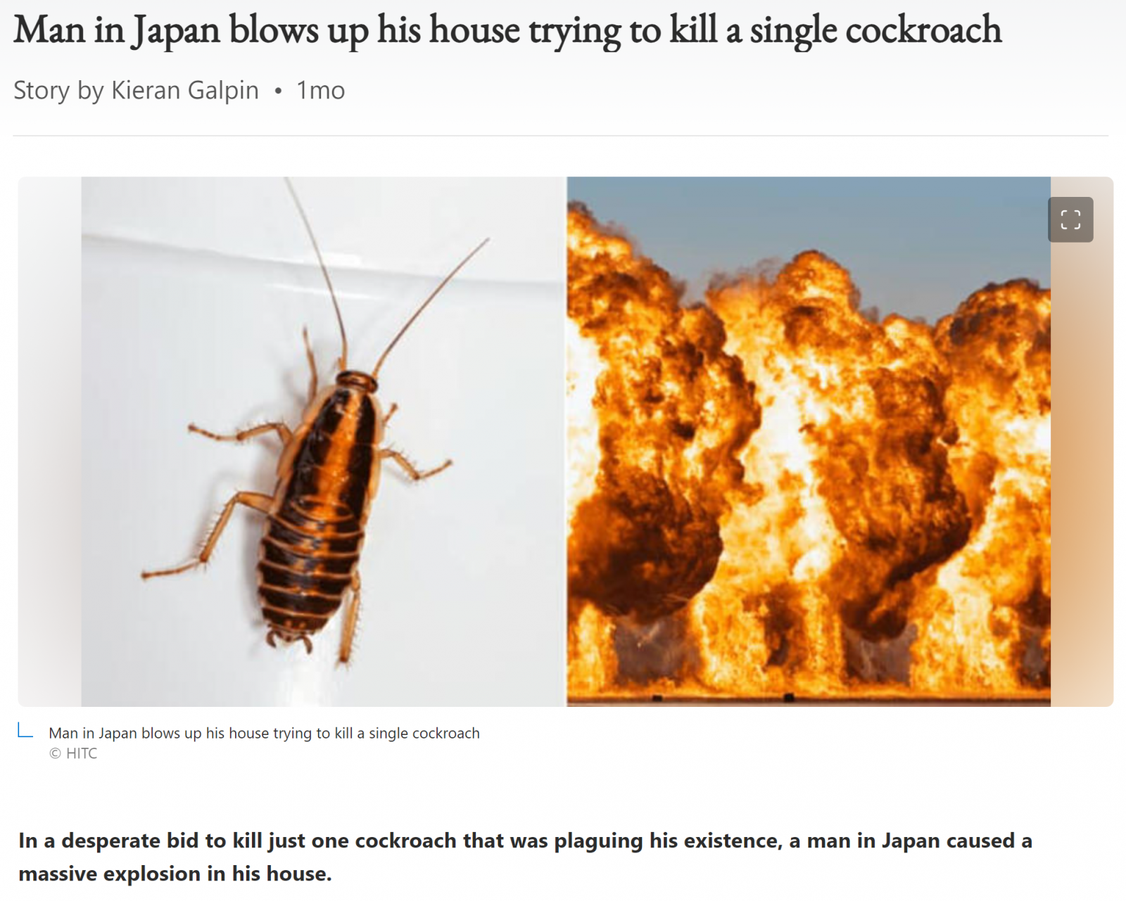 Japanese man blows up house trying to kill cockroach.png