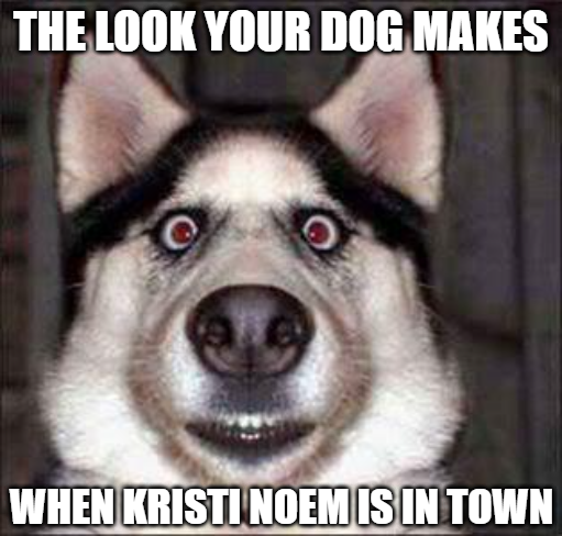 Kristi Noem is in town.png