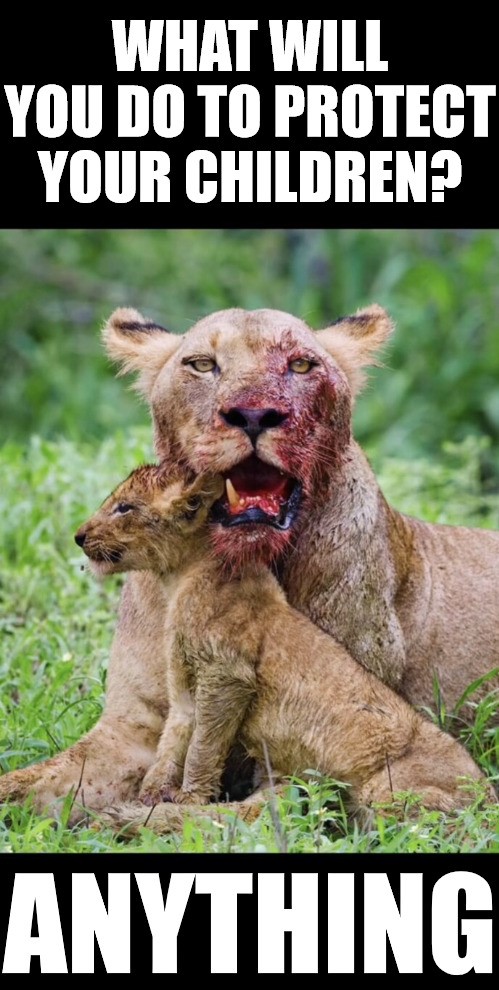 Lioness-Protect Your Children-Anything.jpeg