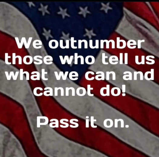 message-we-outnumber-those-tell-us-what-can-cannot-do.jpg