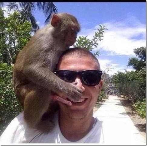 monkey love_zpseoj8fdyy.jpg