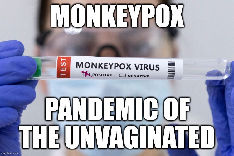 MonkeyPox - Pandemic of the Unvaginated.jpg