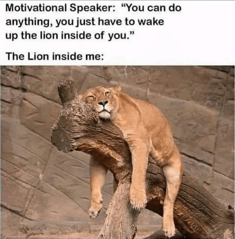 motivational-speaker-can-do-anything-just-have-wake-up-lion-inside-lion-inside.png