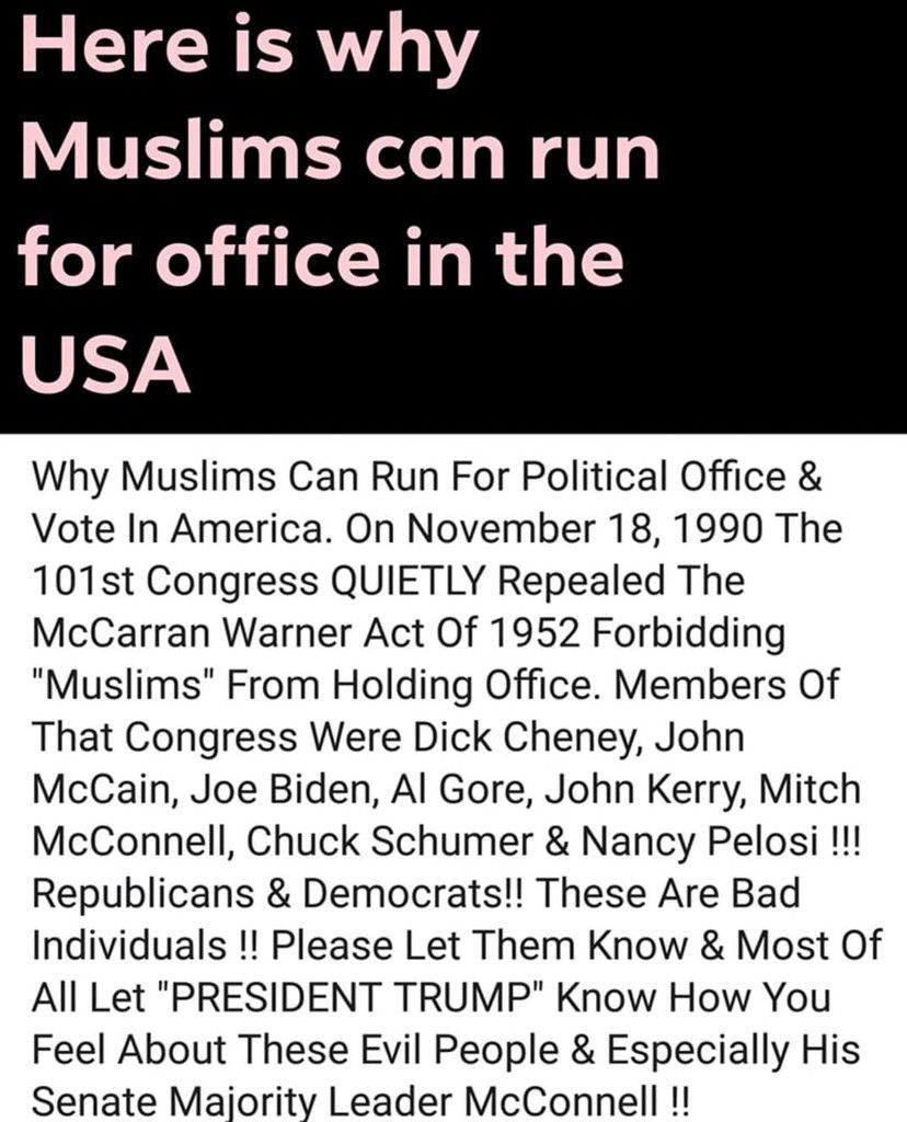 Muslims Run For Office.jpeg