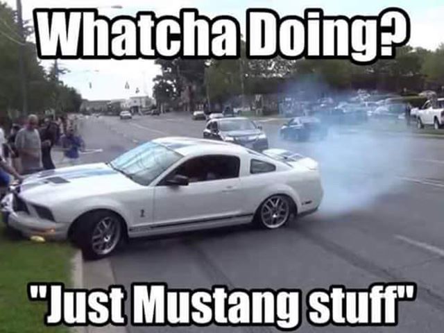 Mustang-Meme-Image-Photo-Joke-10.jpg