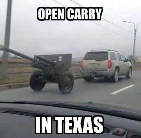 open carry.jpg
