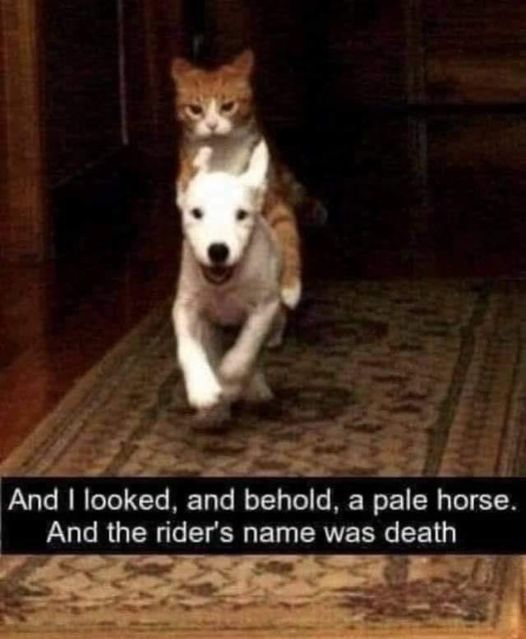 Pale Rider.jpg