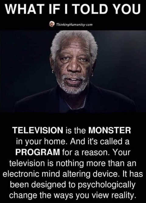 quote-television-monster-in-your-home-program-change-psychologically-way-view-reality.jpg
