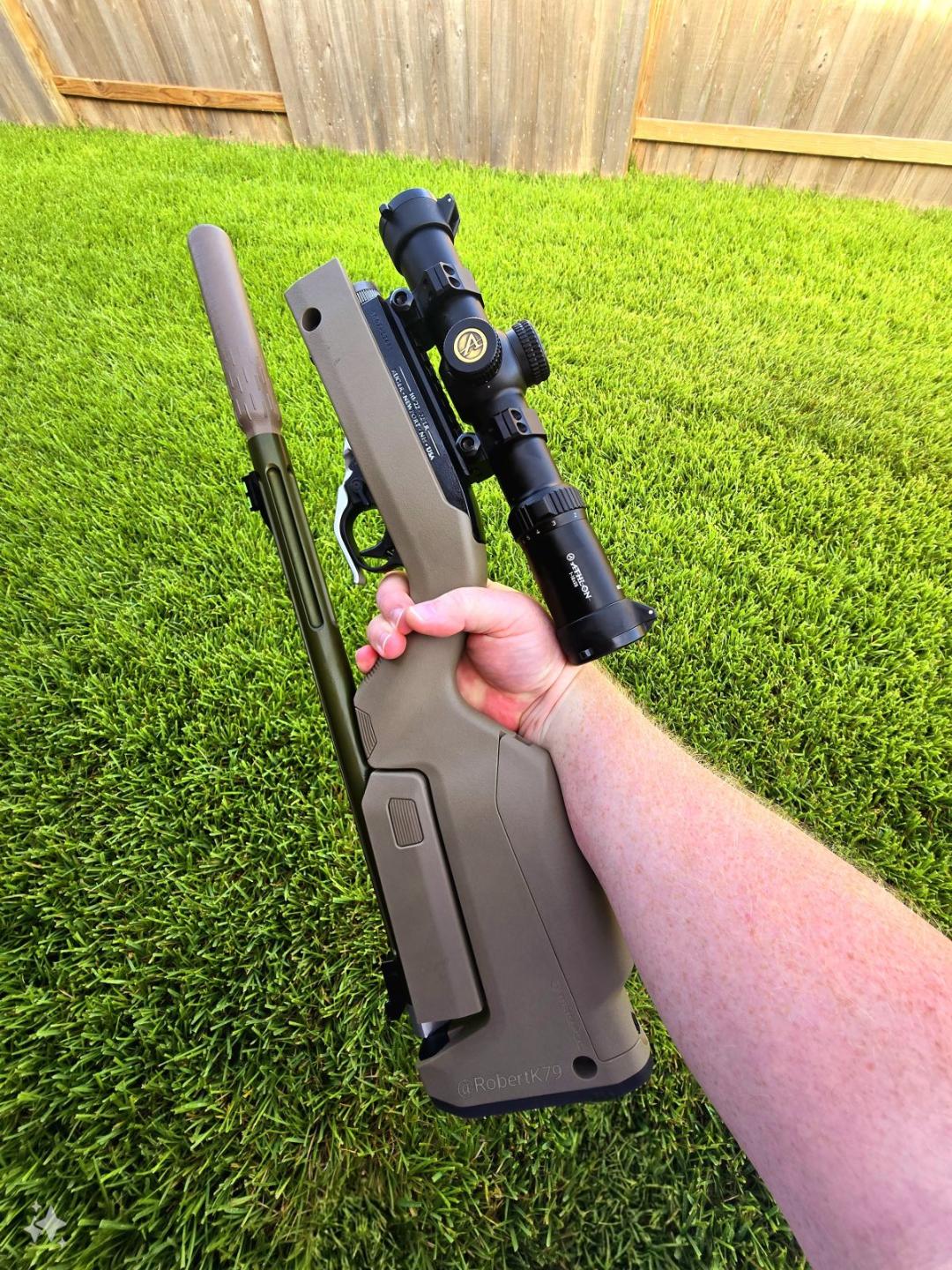 Ruger_10.22.jpg