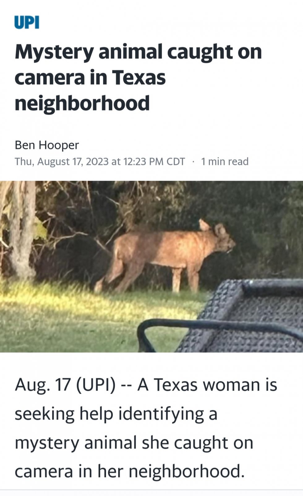 Mystery animal caught on camera in Texas neighborhood 