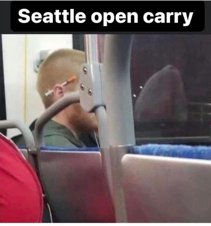 SeattleOpenCarryNeedle.jpg