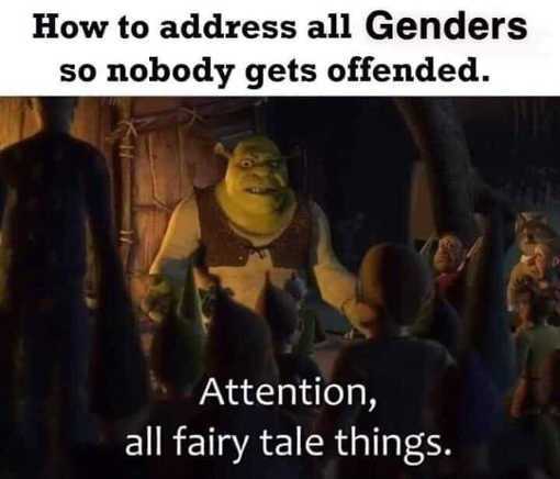 shrek-how-to-address-all-genders-so-no-one-gets-offended-attention-fairy-tale-things.jpg