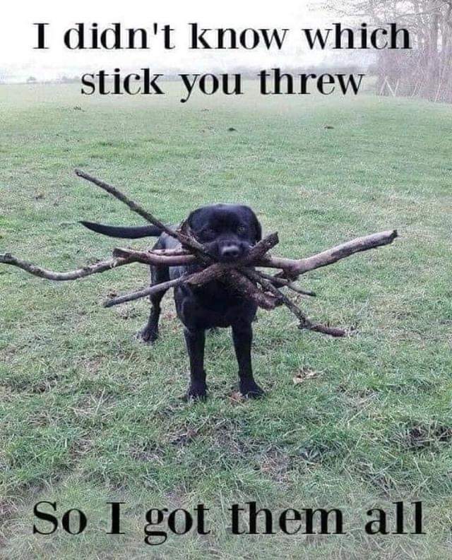 STICK.jpg