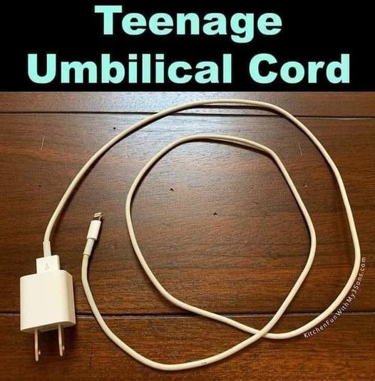 TeenageUmbilicalCordCrAppleCharger.jpg