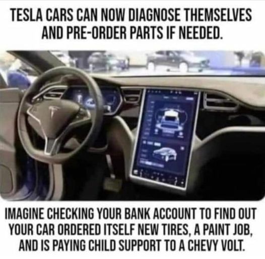 Tesla diagnose.jpg