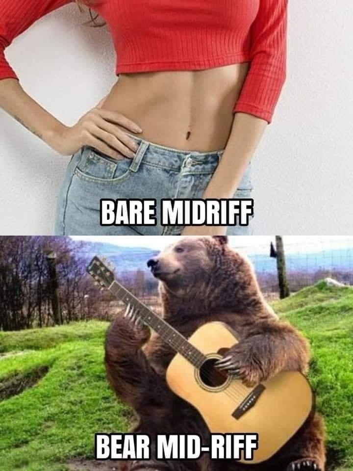 top-bare-midriff-bear-mid-riff.jpeg