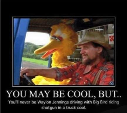 Waylon & Big Bird.jpg