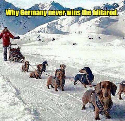 WeinerIditarod.jpg