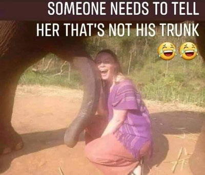 Not His Trunk.jpeg