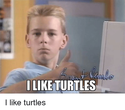 like-turtles-i-like-turtles-15054816.png