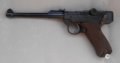 .22 Luger with tangent sight 001.JPG