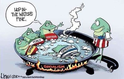 Boiling-frogs-in-socialism-water.jpg