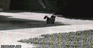 unexpected-ending-gifs-are-hilariously-twisted-18-gifs-5[1].gif