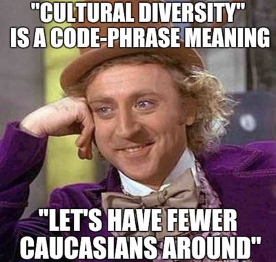Cultural Diversity.jpg