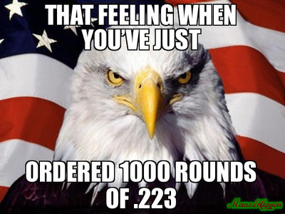 That-feeling-when-youve-just-Ordered-1000-rounds-of-223.jpg