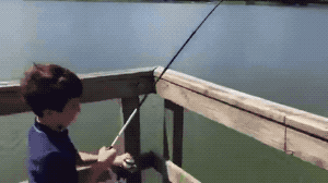 not_see_coming_01_14_20-gif-08-alligator-awesome-full-1.gif